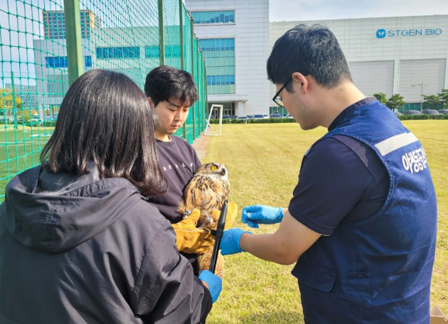 수리부엉이 야생적응훈련